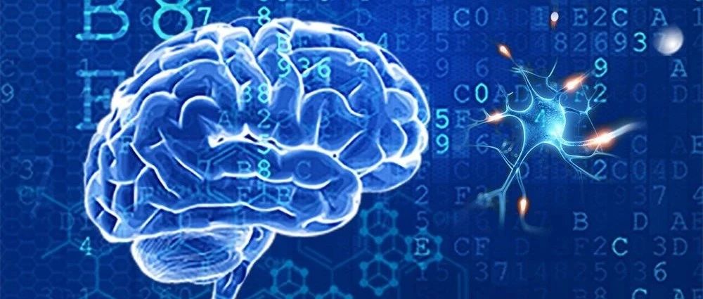 88天見(jiàn)證| AI賦能爆破1000萬(wàn)，醫真AI+生態(tài)初露鋒芒